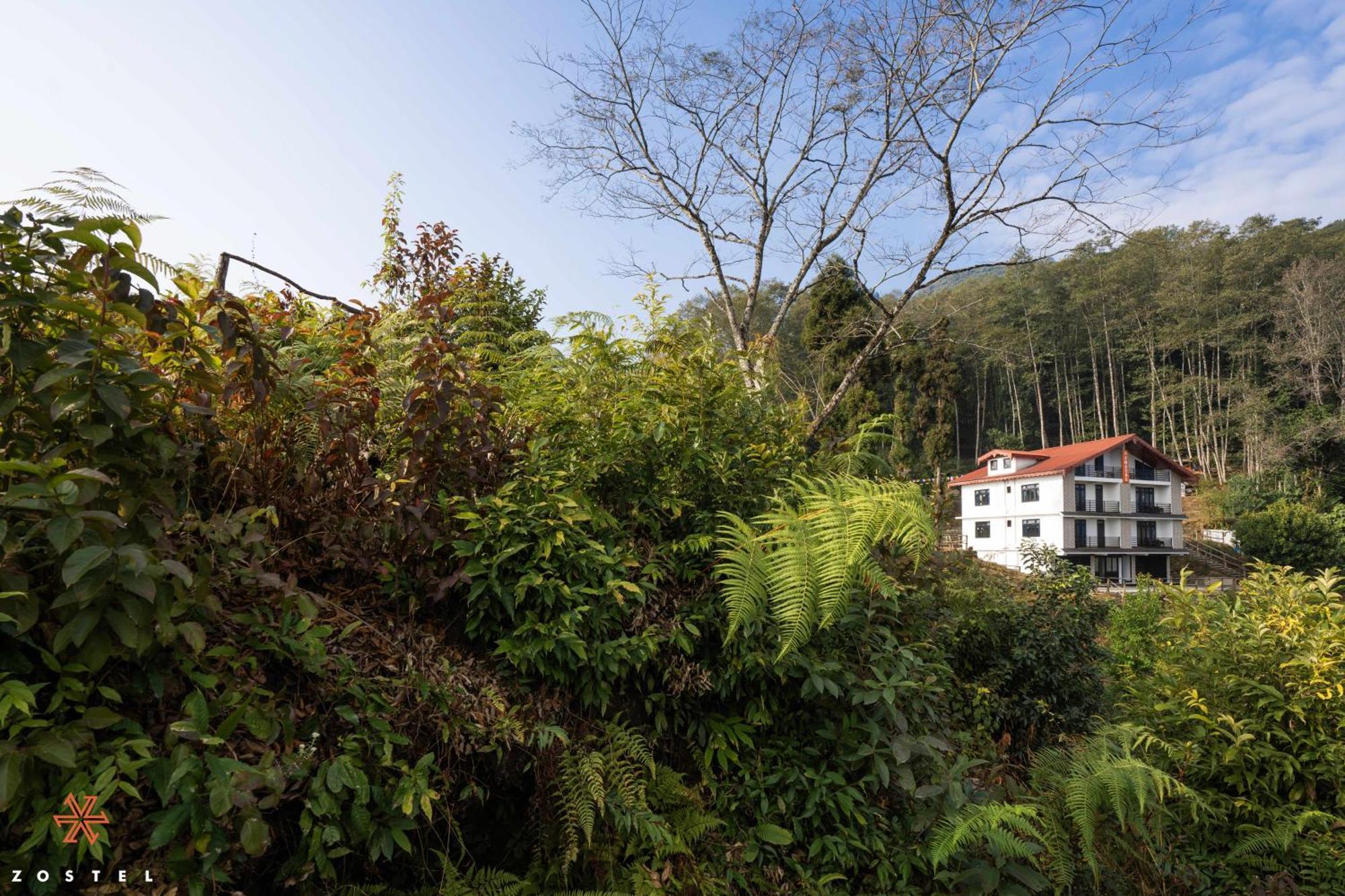 Zostel Rinchenpong Hostel Εξωτερικό φωτογραφία
